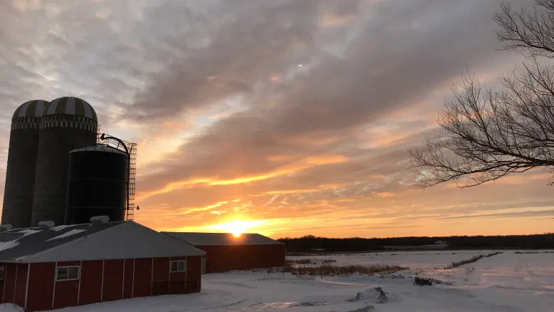 Farm during winter in a sunset view