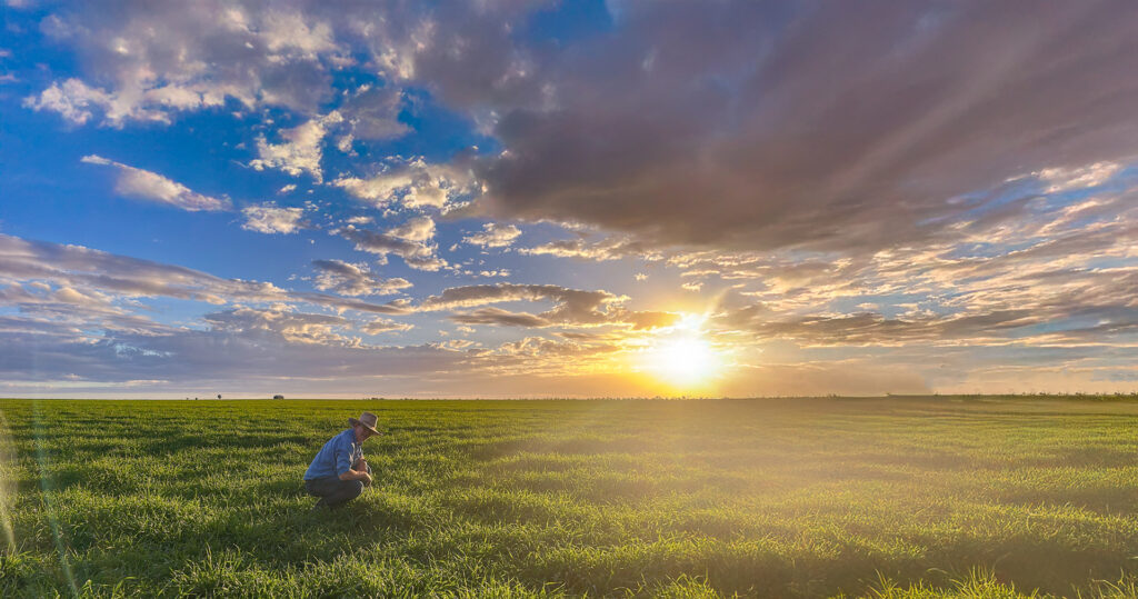 Independent agronomy and soil testing services in Southern Queensland by Dawson Ag
