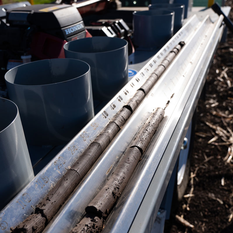Fresh soil cores collected from a broadacre paddock for agronomy testing by Dawson Ag