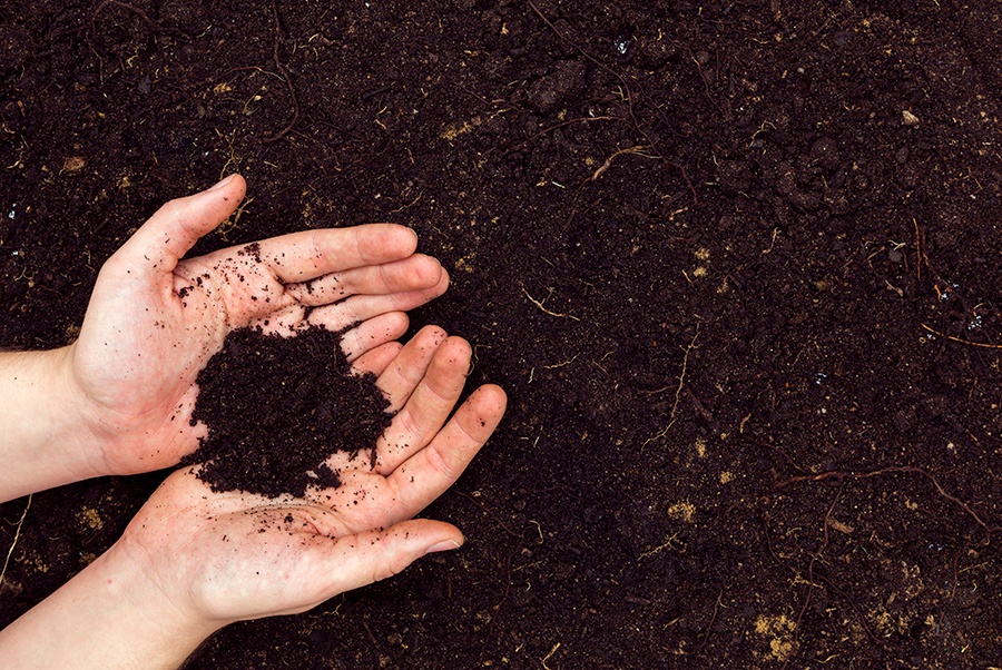 Two hands grasping moist soil, representing cultivation and the importance of earth in growth and sustainability.