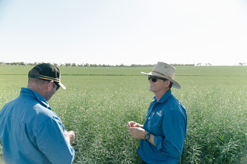 Dawson Ag Chief Agronomist Jeremy Dawson discussing growth solutions with a grower client in a canola field in Southern Queensland