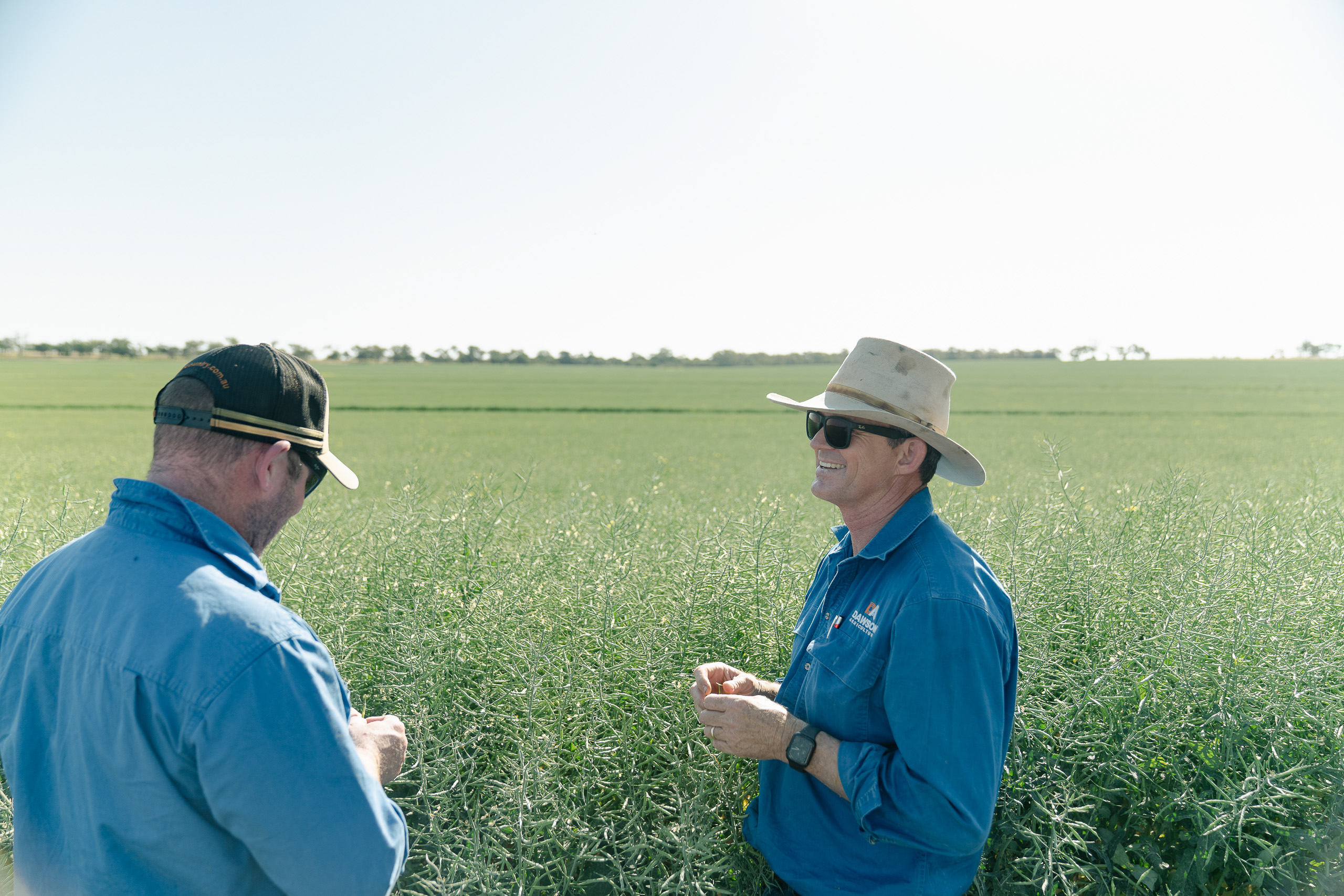 Dawson Ag Chief Agronomist Jeremy Dawson discussing growth solutions with a grower client in a canola field in Southern Queensland