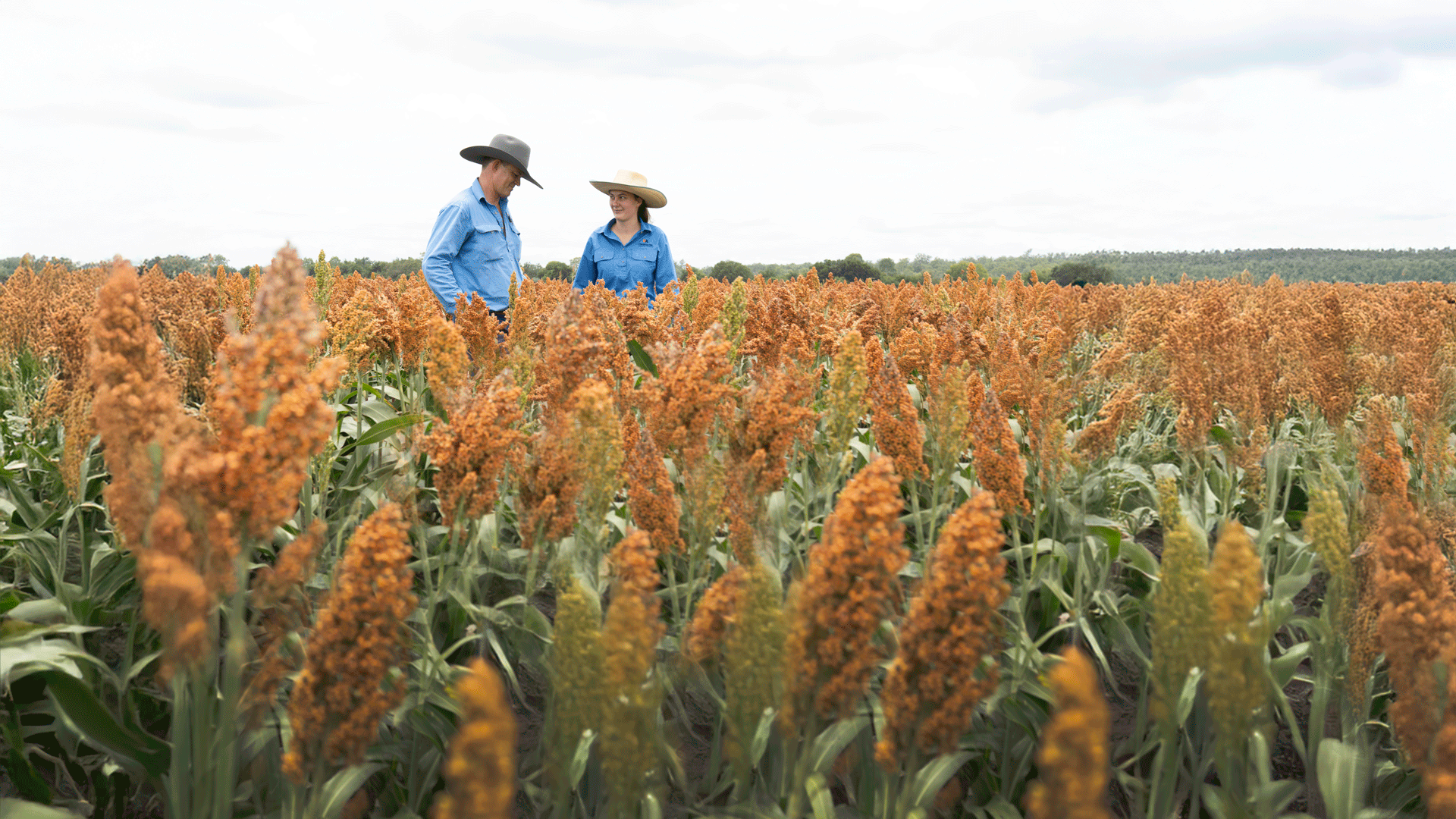 Jeremy and Keeley Dawson on a Darling Downs paddock