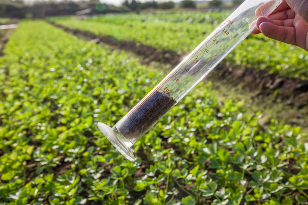 Soil testing sample being collected in a crop field to assess soil nutrition and crop response