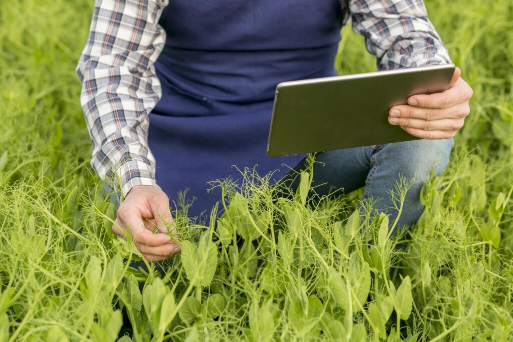 Modern farm management strategies improving crop productivity and soil health