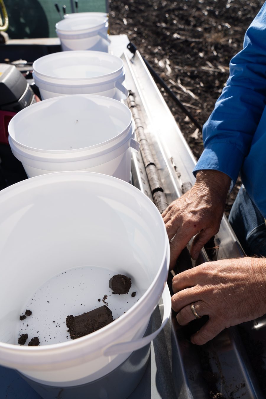 Soil samples being separated into depth-specific sample buckets in the field