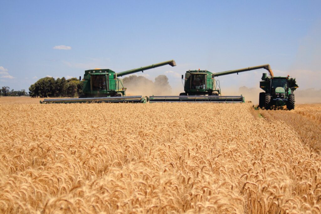 Three John Deere combines harvesting wheat on the Darling Downs, Southern Queensland