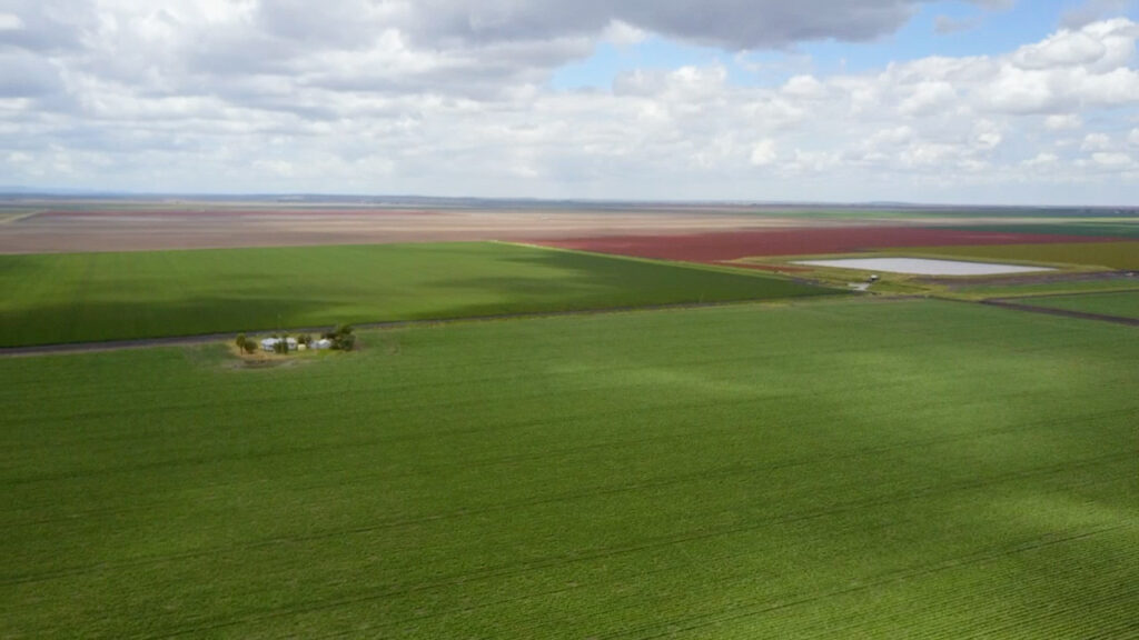 Aerial view of broadacre cropping country in Southern Queensland with green crops and red fallow paddocks.