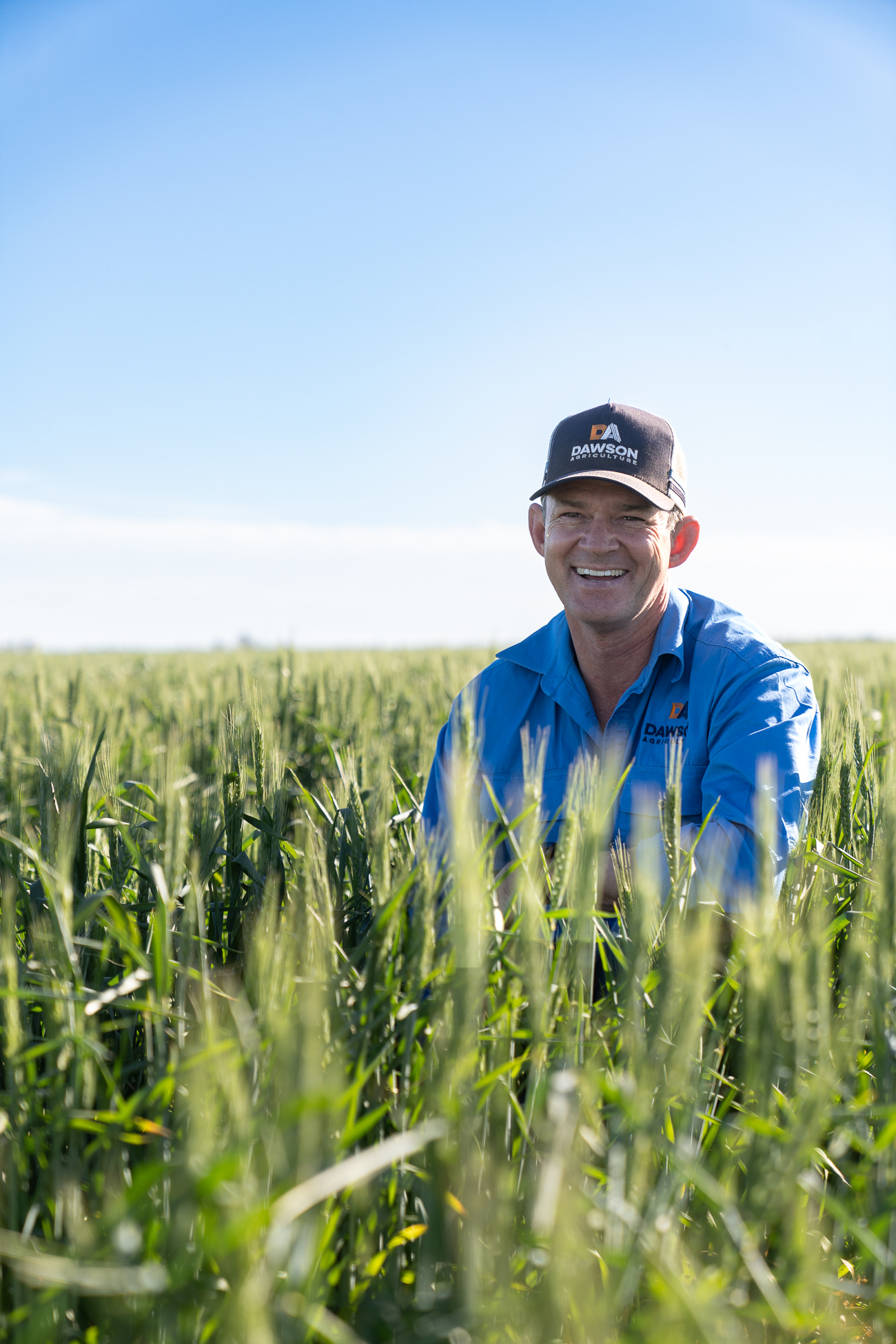 Dawson Agriculture agronomist in a green wheat crop, Southern Queensland.