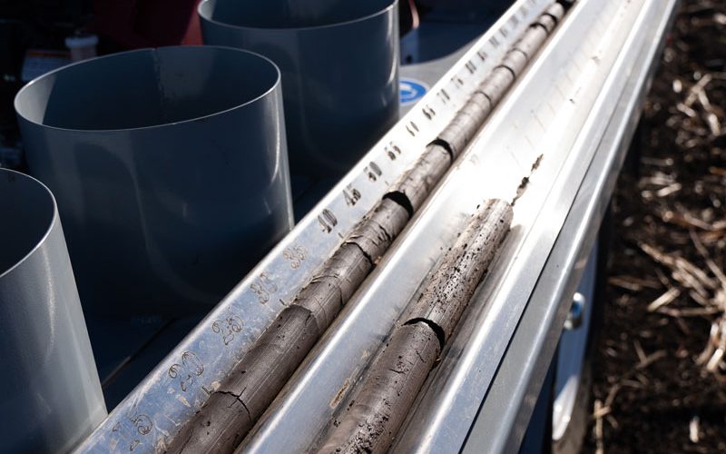 Fresh soil cores collected from a broadacre paddock for agronomy testing by Dawson Ag